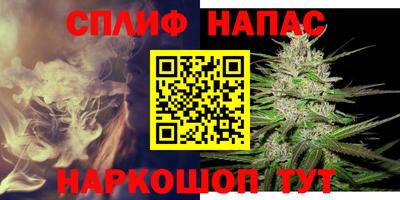 крисы Малоярославец