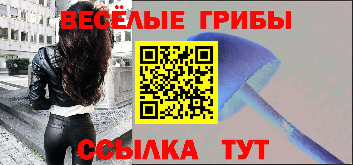 Ставрополь  Галлюциногенные грибы Psilocybe  Вход с VPN 